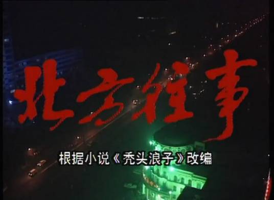 北方往事（1993年剧情类电视剧）