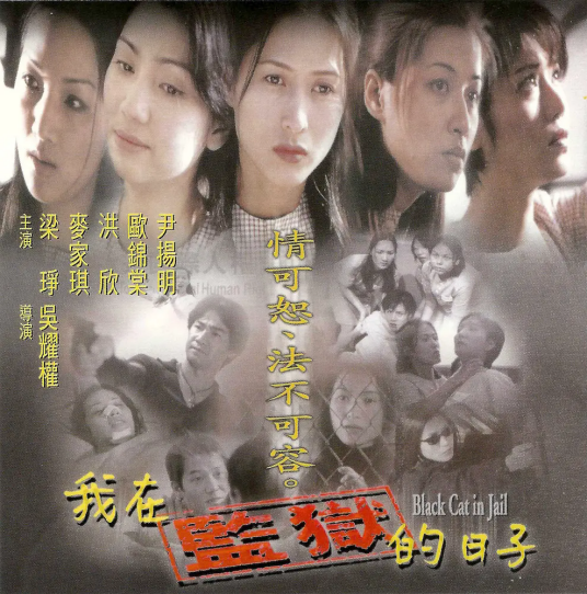 我在监狱的日子