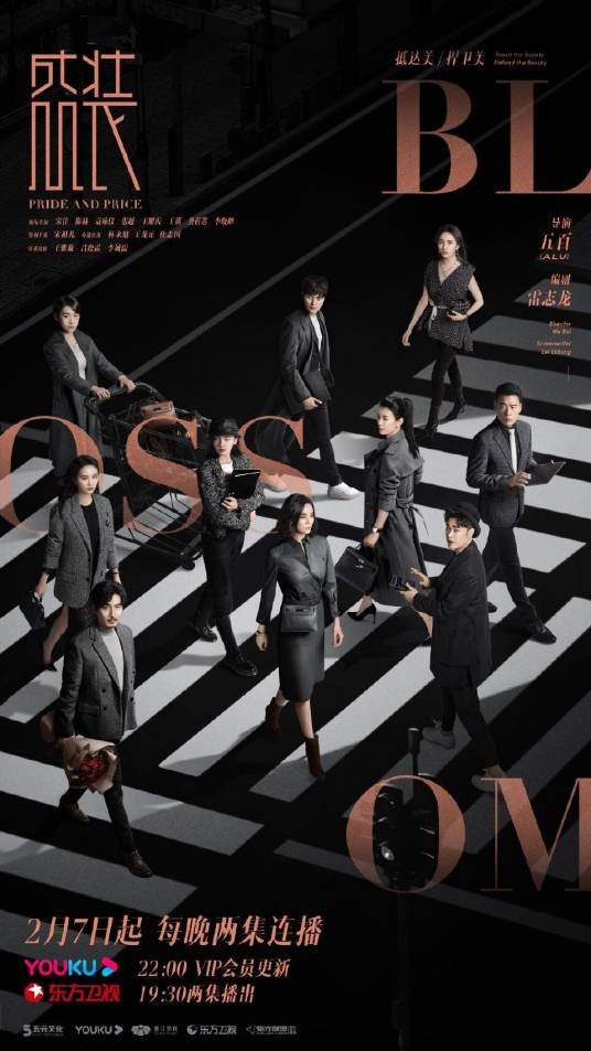 盛装（2022年宋佳、陈赫主演的都市职场剧）