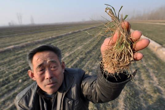 2011山东特大干旱