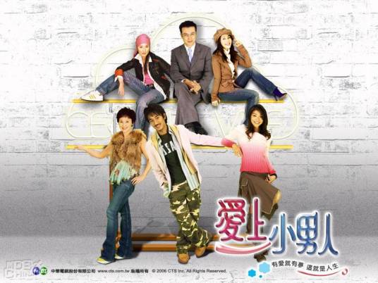 爱上小男人（2006年台湾电视剧）