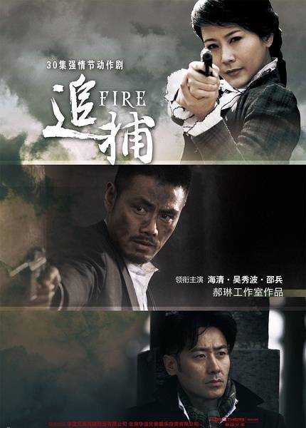 追捕（2011年海清主演内地电视剧）