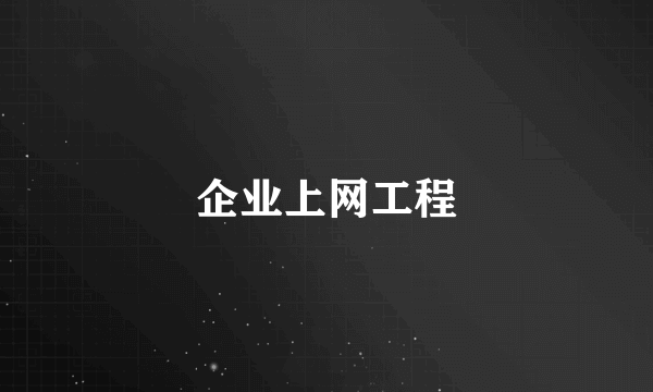 企业上网工程