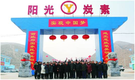 兰州阳光炭素有限公司