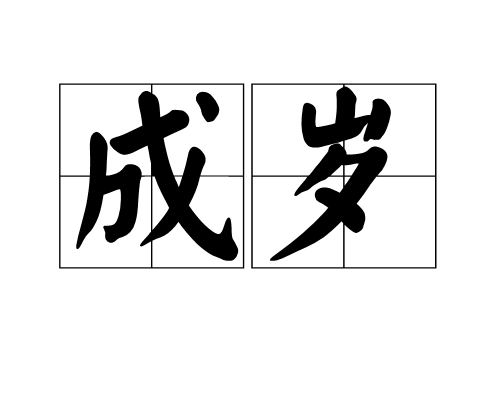 成岁（汉语词汇）
