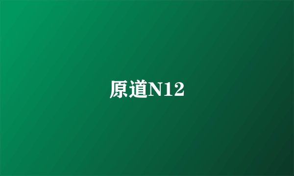 原道N12