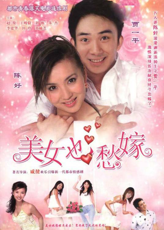 美女也愁嫁（2006年陈好、贾一平主演的电视剧）