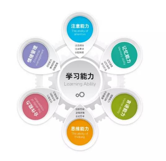 学习能力训练（素质教育课程）