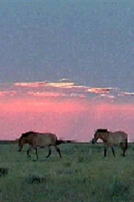 回家的路有多长