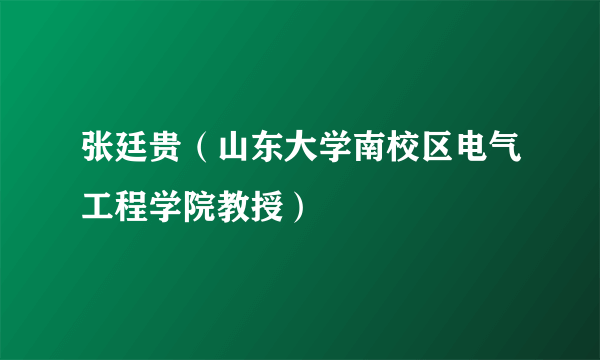 张廷贵（山东大学南校区电气工程学院教授）