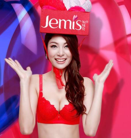 姐妹花内衣有限公司