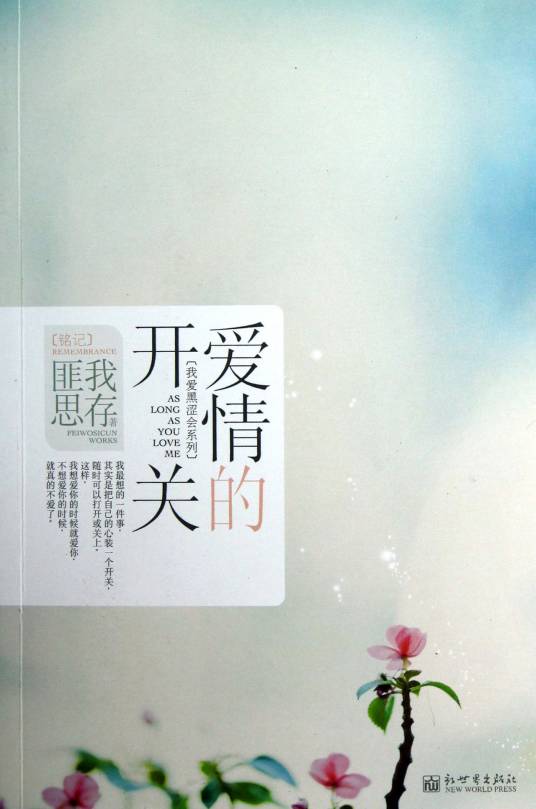 爱情的开关（匪我思存创作的小说）