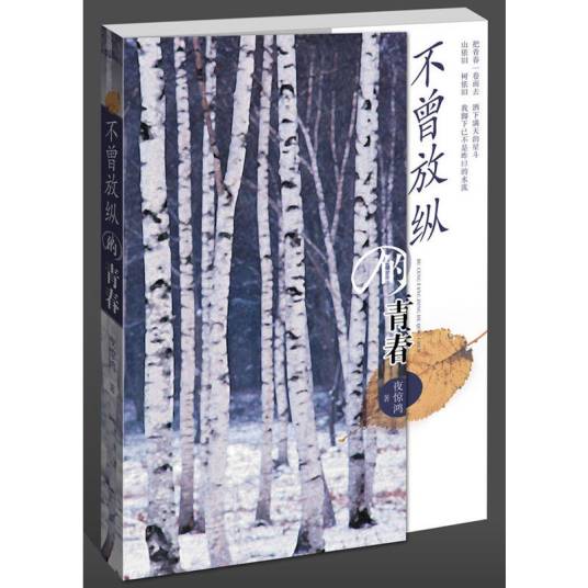 不曾放纵的青春