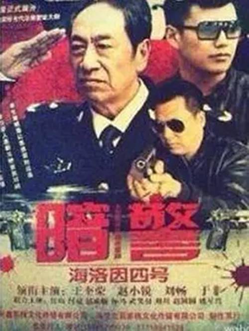 暗警（中国大陆2013年张瀚文导演的电视剧）