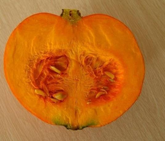 南瓜瓤（中药材）