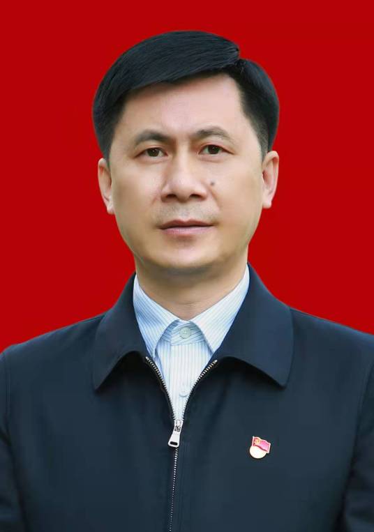 林烨（振烨国际集团党委书记、董事局主席）