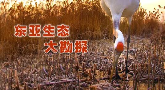 东亚生态大勘探