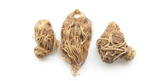 头顶一颗珠（百合科延陵草属多年生草本植物）