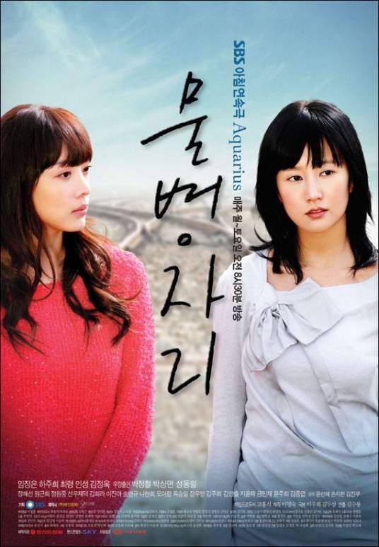 夺爱（韩国2008年金秀龙执导电视剧）