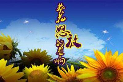 葵花怒放的声响