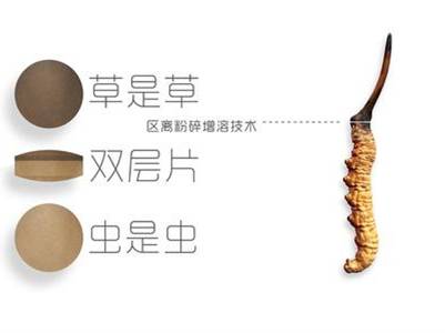 冬虫夏草纯粉片