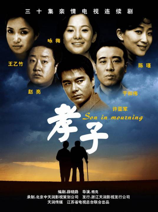 孝子（2006年许亚军主演的家庭剧）