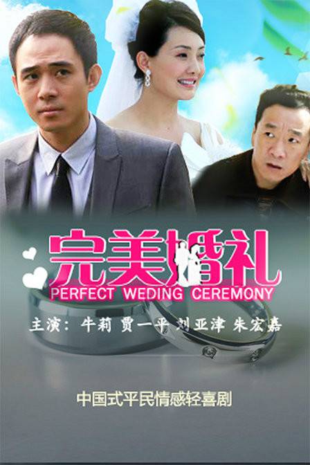 完美婚礼（2010年夏钢执导电视剧）