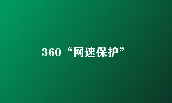 360“网速保护”
