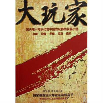 大玩家（2009年花山文艺出版社出版的图书）