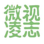微视凌志