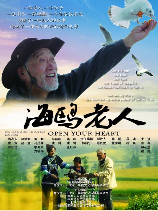 海鸥老人