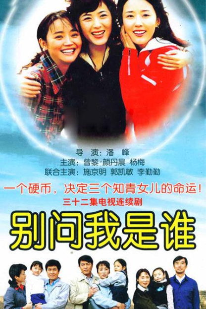 别问我是谁（潘峰执导电视剧）