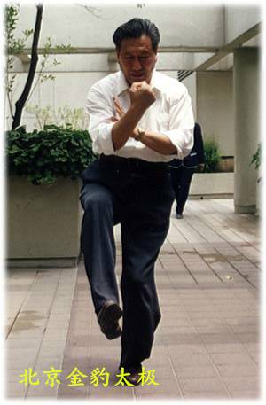 陈氏太极拳小架一路