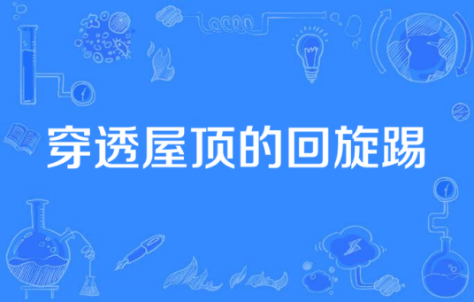 穿透屋顶的回旋踢