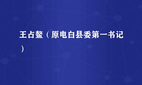 王占鳌（原电白县委第一书记）