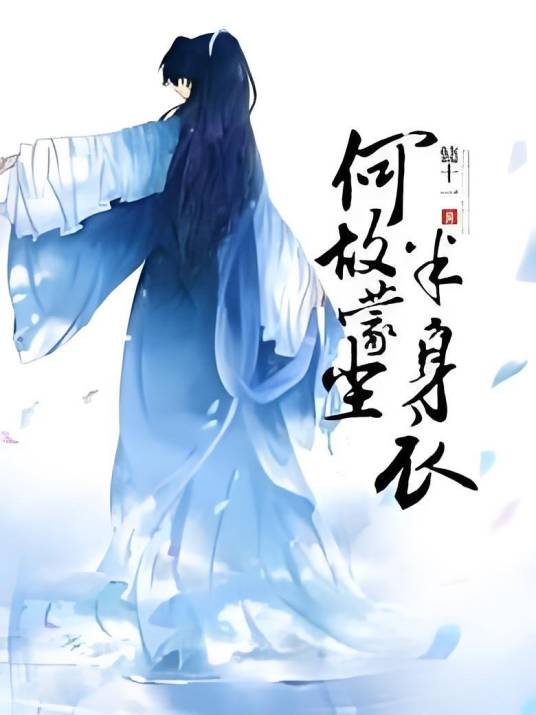 何故蒙尘半身衣（慵十一所著小说）