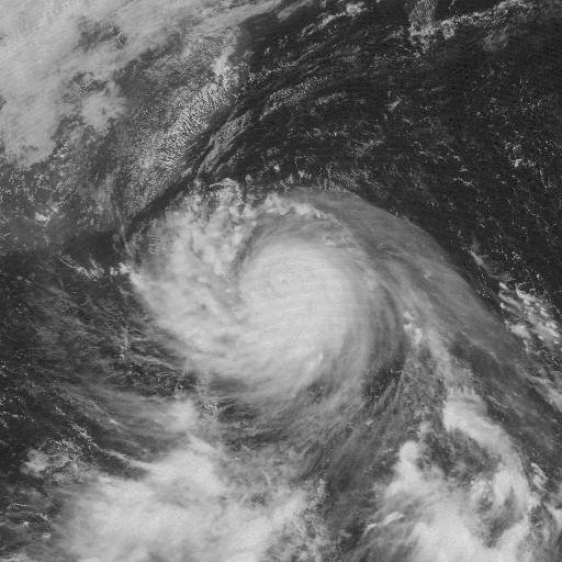 台风杜鹃（2003年第13号台风）