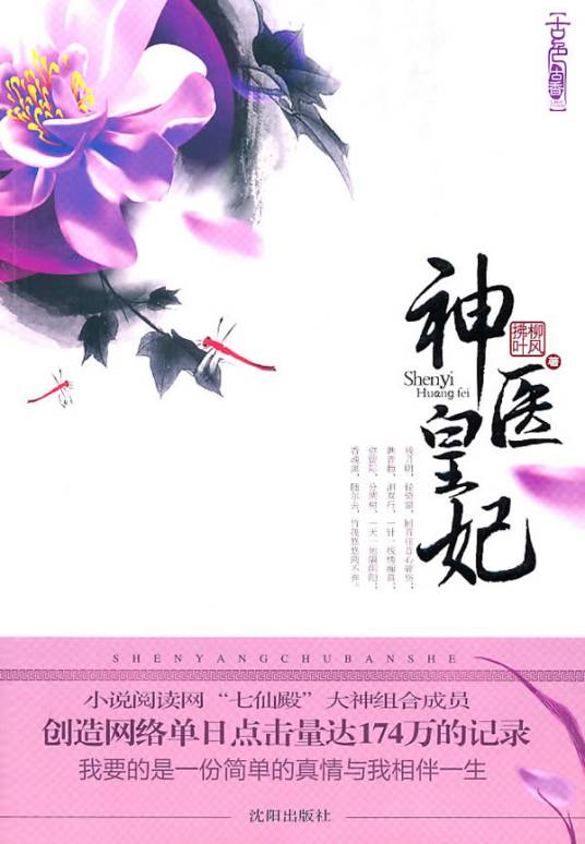 不做皇子的小妾：神医皇妃