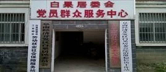 白果社区（安徽省阜南县的一个社区）