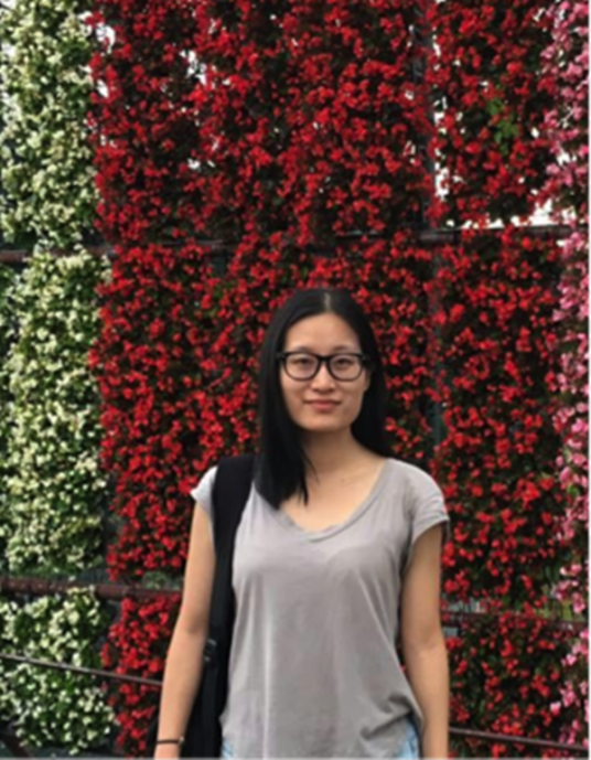 袁潇（华中师范大学讲师）