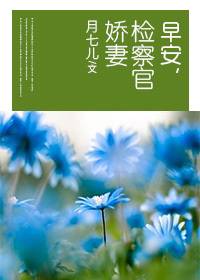 早安，检察官娇妻（月七儿创作的网络小说）