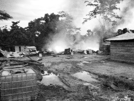 中国公民加纳淘金被捕事件