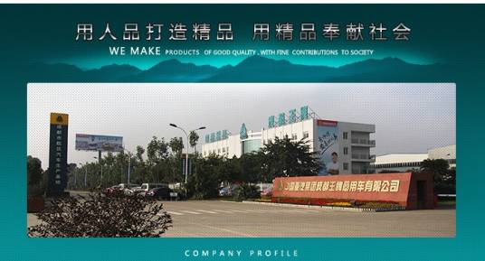 成都王牌汽车股份有限公司