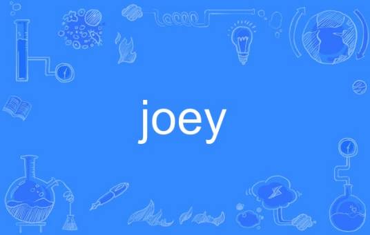 joey（英语单词）