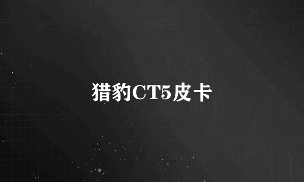 猎豹CT5皮卡