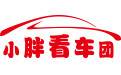 小胖看车团