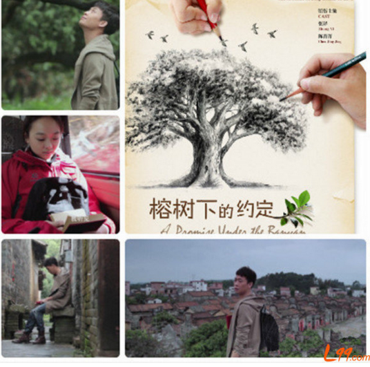 榕树下的约定