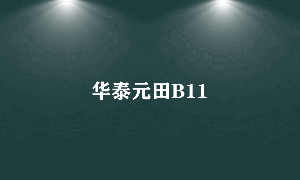 华泰元田B11