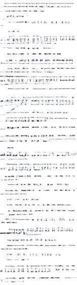 小狐狸的异界之旅