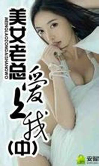 美女老总爱上我（苍穹双鹰所著的网络小说）